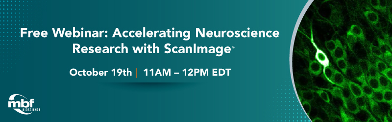 Webinar--header-ScanImage